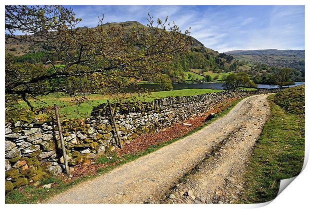 Along The Rydal Way Print by Jason Connolly