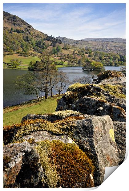 Rydal Views Print by Jason Connolly