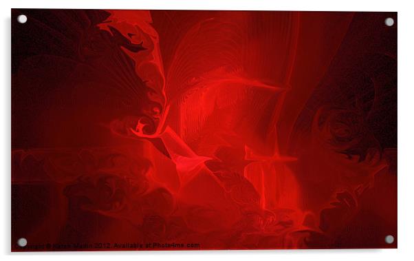 Reds Acrylic by Karen Martin