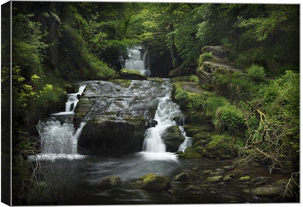 WATERSMEET Canvas Print by Anthony R Dudley (LRPS)