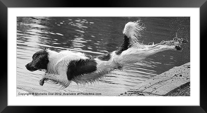 Diving Spaniel Framed Mounted Print by Michelle Orai