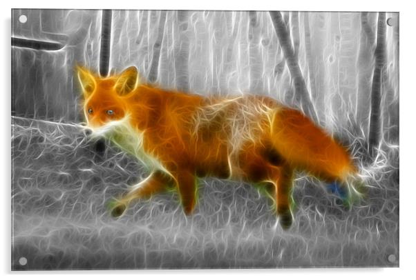 Fox Hunting Acrylic by David French