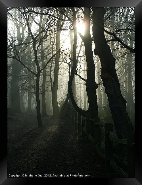 Eerie Woods Framed Print by Michelle Orai