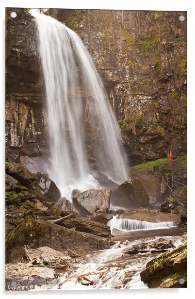 Melincourt Falls Acrylic by Dan Davidson