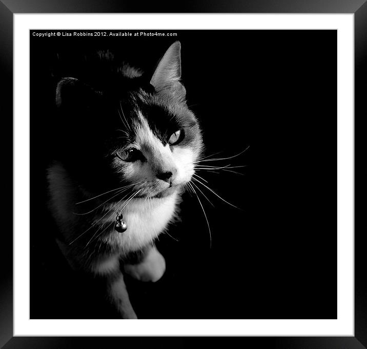 Hidden in the dark (Black & White) Framed Mounted Print by Loren Robbins