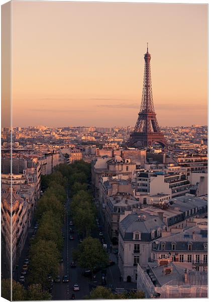 Eiffel Tower sunset Canvas Print by Daniel Zrno