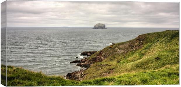 The Bass Rock Canvas Print by Tom Gomez