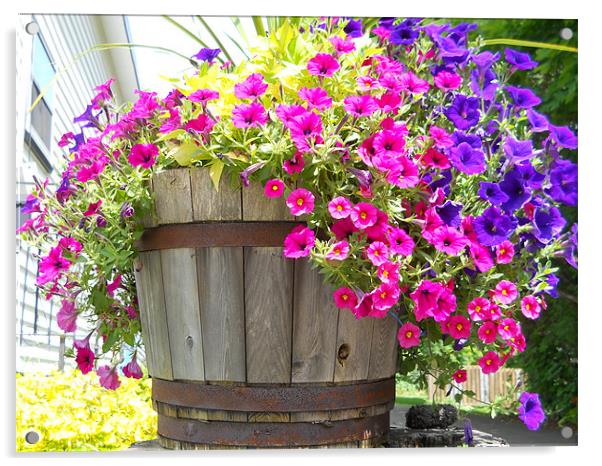 Barrel of flowers Acrylic by Albert Gallant