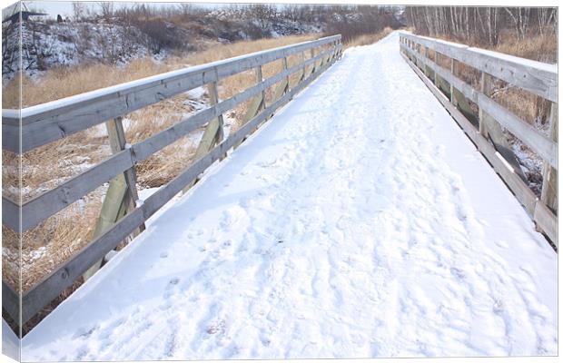 Snow covered path. Canvas Print by Albert Gallant