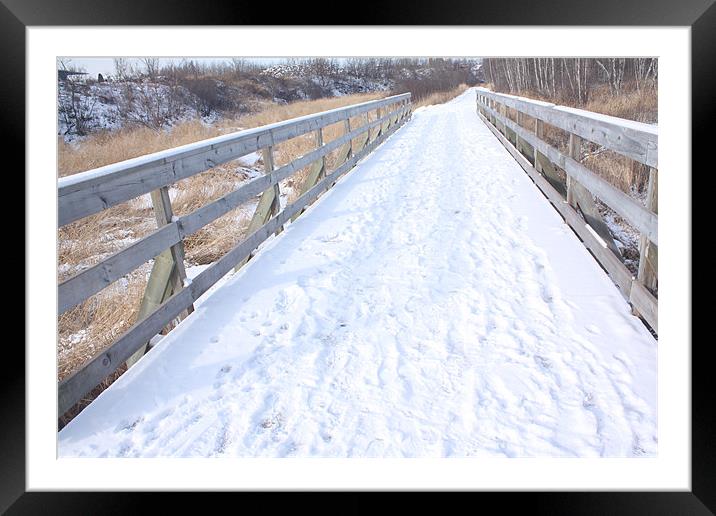 Snow covered path. Framed Mounted Print by Albert Gallant