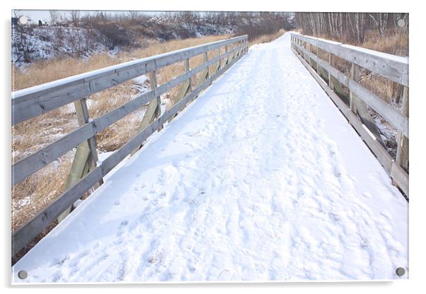 Snow covered path. Acrylic by Albert Gallant