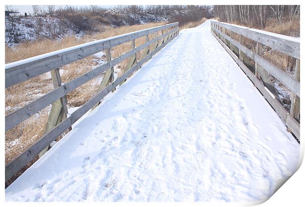 Snow covered path. Print by Albert Gallant