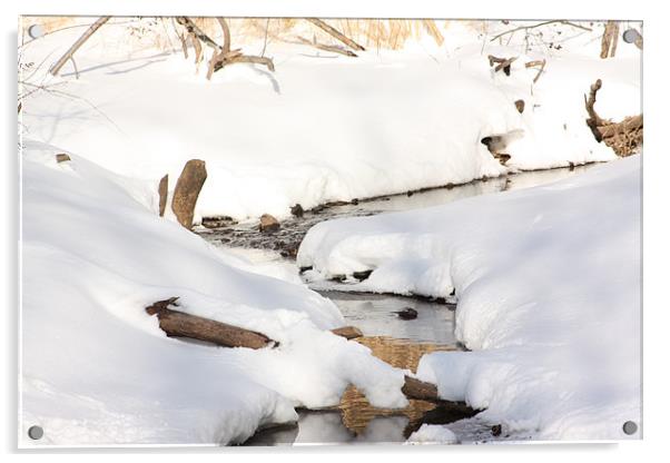 Winter Acrylic by Albert Gallant