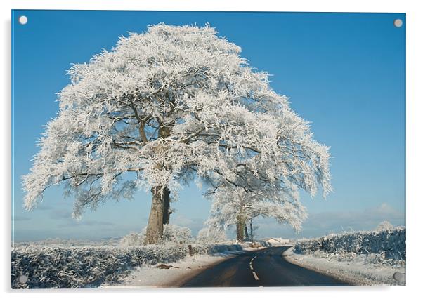 The Ice Tree Acrylic by Paul Martin