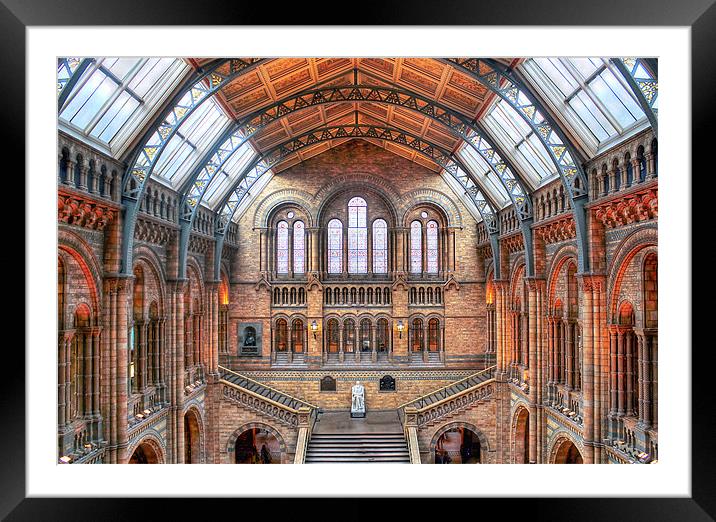 Natural History Museum Framed Mounted Print by Gillian Oprey