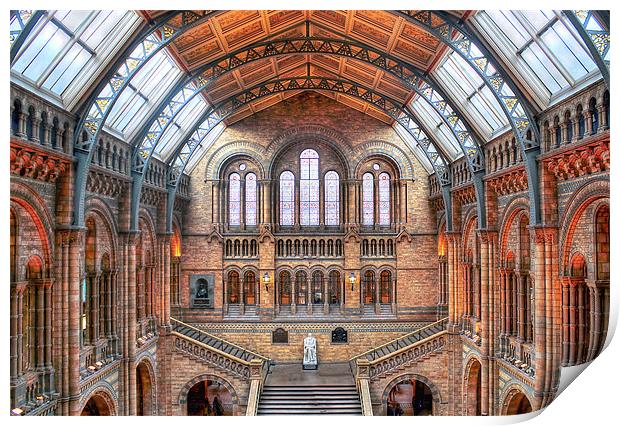 Natural History Museum Print by Gillian Oprey