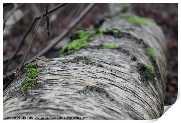Bark and Moss Print by Michelle Orai