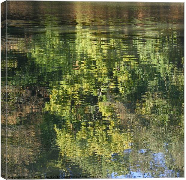 Wey Reflection Canvas Print by Duncan Chambers