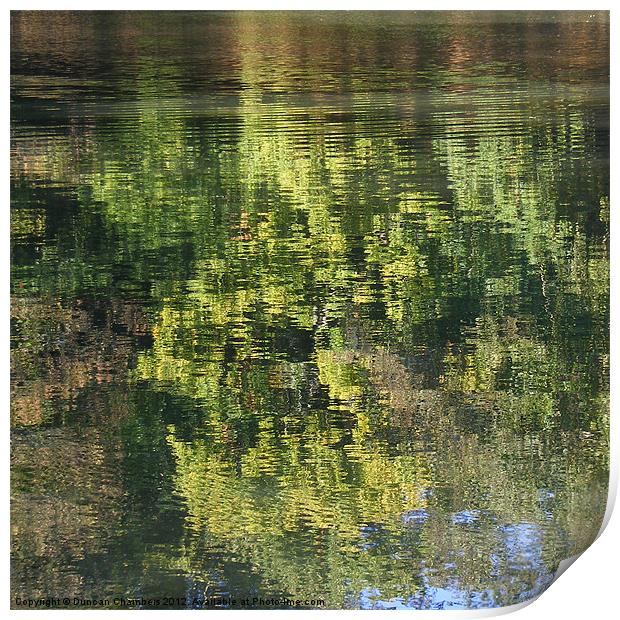 Wey Reflection Print by Duncan Chambers