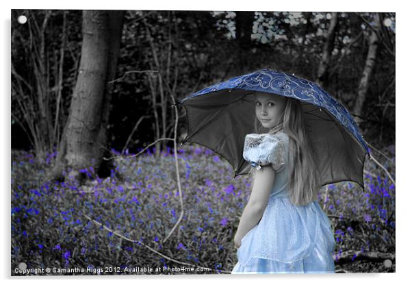 Blue Belle Acrylic by Samantha Higgs