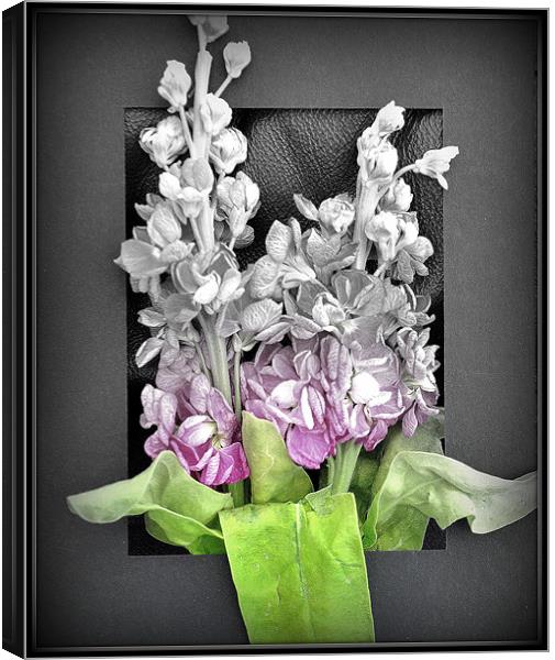 floral frame Canvas Print by sue davies