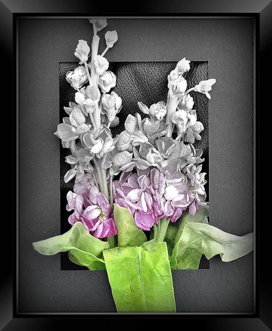 floral frame Framed Print by sue davies