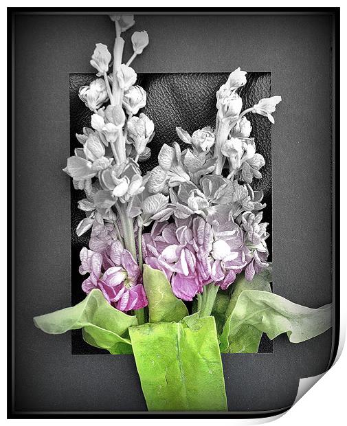 floral frame Print by sue davies