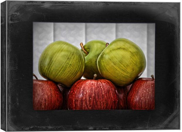 Apples Canvas Print by sue davies