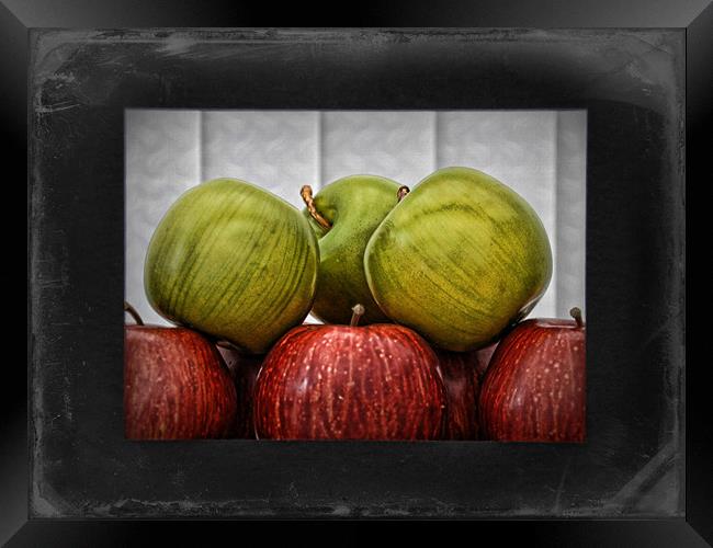 Apples Framed Print by sue davies