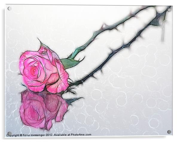 Rose Fractilius Acrylic by Fiona Messenger