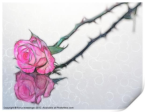 Rose Fractilius Print by Fiona Messenger