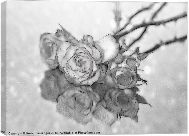 Black and White Roses Canvas Print by Fiona Messenger