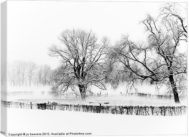 a winter scene Canvas Print by Jo Beerens