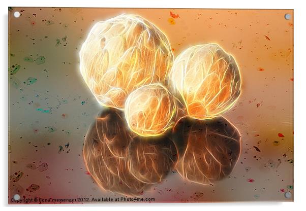 Fractal spheres Acrylic by Fiona Messenger