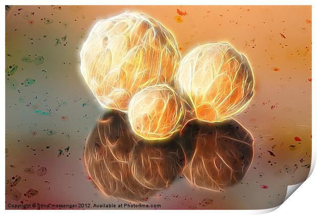 Fractal spheres Print by Fiona Messenger