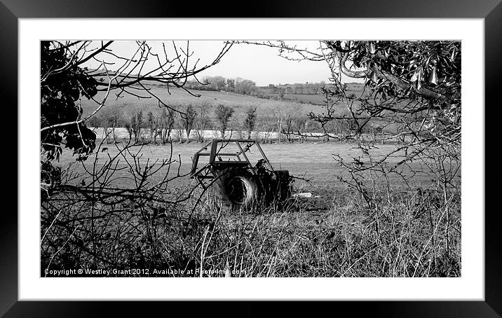 Old Tractor Framed Mounted Print by Westley Grant
