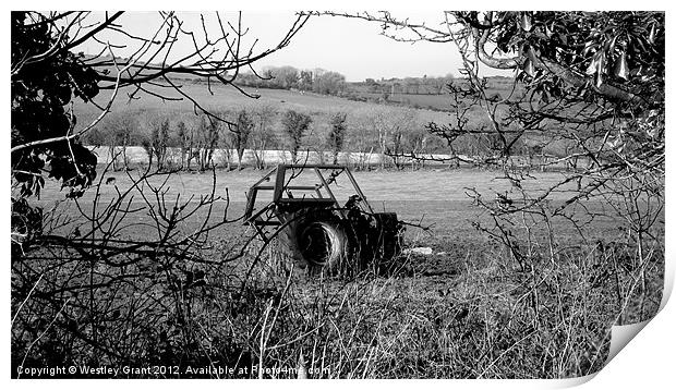 Old Tractor Print by Westley Grant
