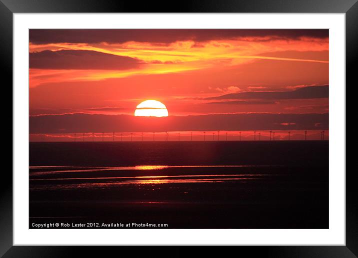 Ash sunset. Framed Mounted Print by Rob Lester