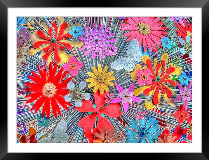 Bright and Cheerful! Framed Mounted Print by Gillian Oprey