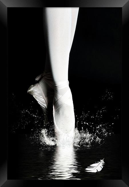 Swan Lake Framed Print by Gabor Dvornik