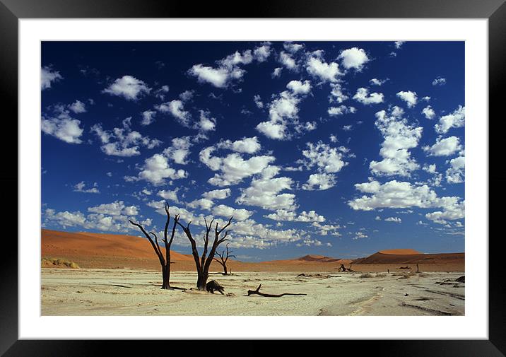 Dead Vlei, Namib desert Framed Mounted Print by Michal Cerny