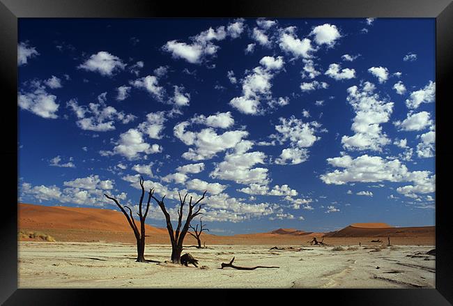 Dead Vlei, Namib desert Framed Print by Michal Cerny