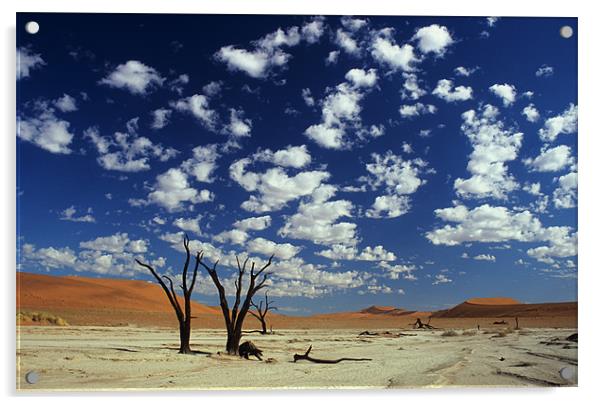 Dead Vlei, Namib desert Acrylic by Michal Cerny
