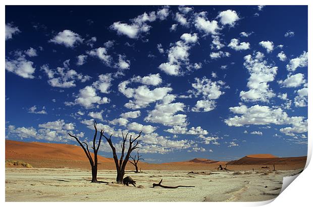 Dead Vlei, Namib desert Print by Michal Cerny
