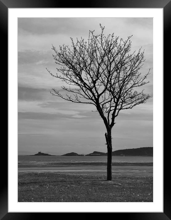 A Tree and Beyond. Framed Mounted Print by Becky Dix