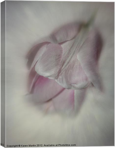 Soft Pink Tulip Canvas Print by Karen Martin