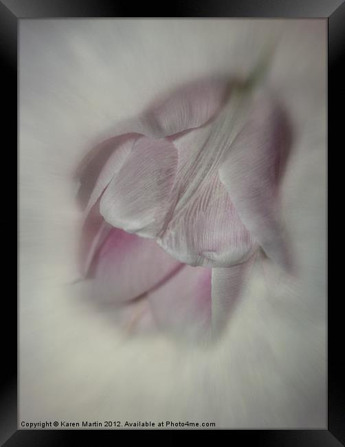 Soft Pink Tulip Framed Print by Karen Martin