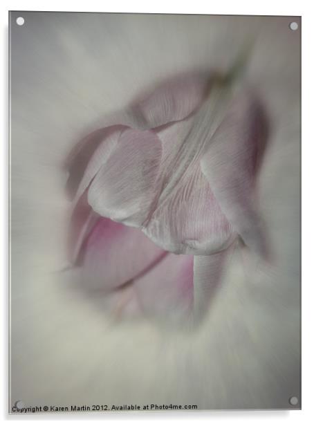 Soft Pink Tulip Acrylic by Karen Martin