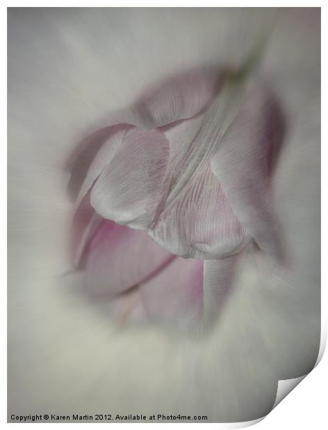 Soft Pink Tulip Print by Karen Martin