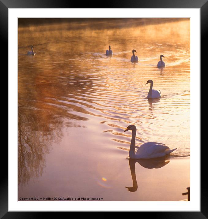 Swans Mapledurham Framed Mounted Print by Jim Hellier